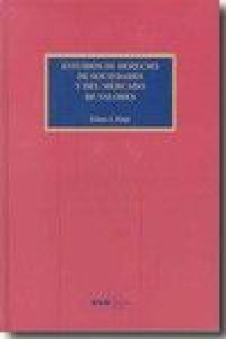 Könyv Estudios de derecho de sociedades y del mercado de valores Klaus J. Hopt