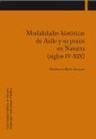 Buch Modalidades históricas de Asilo y su praxis en Navarra (siglos IV-XIX) Hipólito Rico Aldave