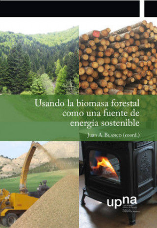 Libro Usando la biomasa forestal como una fuente de energía sostenible 