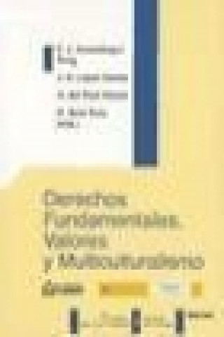 Kniha Derechos fundamentales, valores y multiculturismo Francisco Javier Ansuátegui Roig