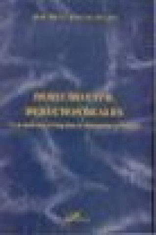 Kniha Derecho civil, derechos reales José Miguel Espinosa Infante