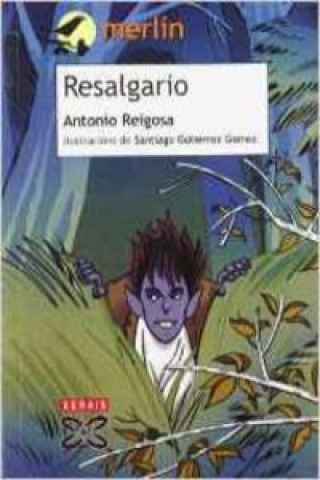 Libro Resalgario Antonio Reigosa