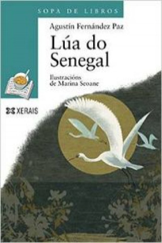 Könyv Lúa do Senegal Agustín Fernández Paz