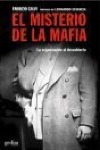 Book El misterio de la mafia : la organización al descubierto Fabricio Calvi