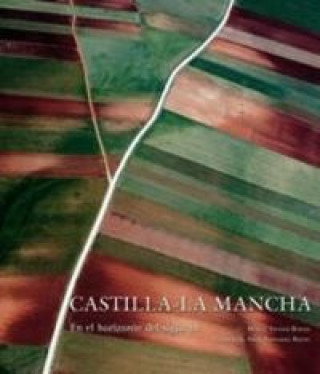 Könyv Castilla-La Mancha, en el horizonte del siglo XXI Michael Bunn