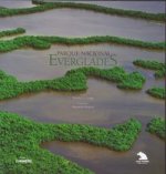 Könyv Parque Nacional Everglades Thomas E. Lodge