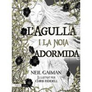 Libro L'agulla i la noia adormida Neil Gaiman