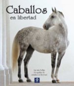 Kniha Caballos en libertad Emmanuelle Brengard