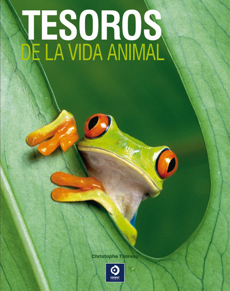Könyv Tesoros de la vida animal Christophe Thoreau