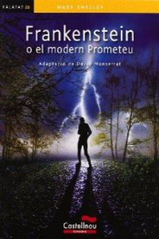 Buch Frankenstein o el modern Prometeu 