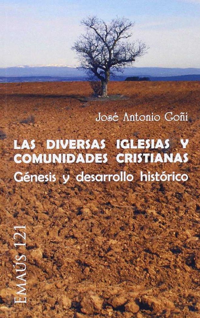 Buch Las diversas iglesias y comunidades cristianas : génesis y desarrollo histórico 