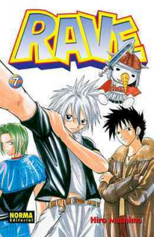 Libro Rave 7 Hiro Mashima