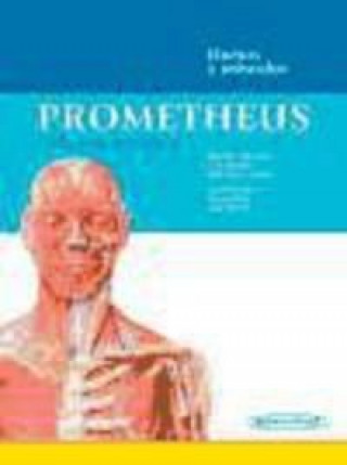 Carte Prometheus. Póster de Anatomía: Huesos y músculos 