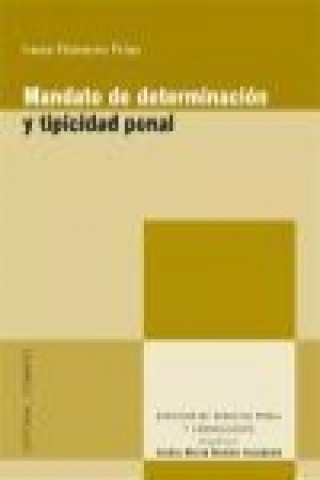 Buch Mandato de determinación y tipicidad penal Irene Navarro Frías