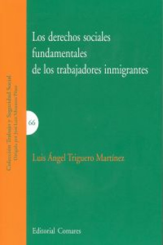 Libro Los derechos sociales fundamentales de los trabajadores inmigrantes Luis Ángel Triguero Martínez