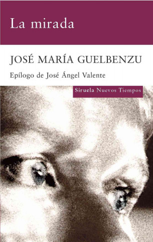 Книга La mirada José María Guelbenzu Fernández