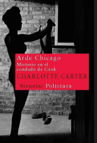 Книга Cassandra Lisle 1. Arde Chicago : misterio en el condado de Cook Charlotte Carter