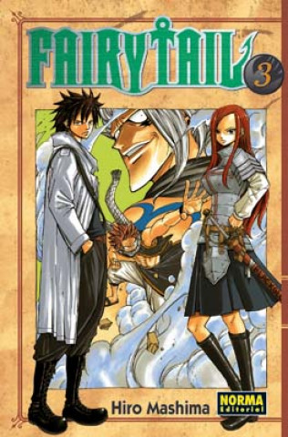 Kniha Fairy Tail 3 Hiro Mashima