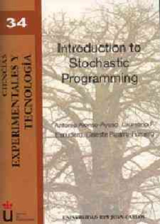 Könyv Introduction to stochastic programming Antonio Alonso-Ayuso