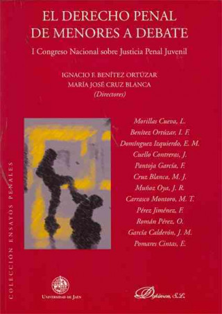 Buch El derecho penal de menores a debate. 