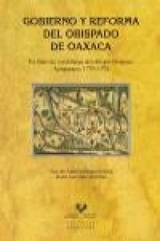 Libro Gobierno y reforma del obispado de Oaxaca. Un libro de cordilleras del obispo Ortigosa. Ayoquezco, 1776-1792 