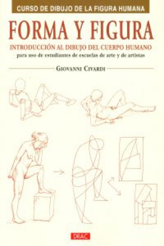 Livre Forma y figura GIOVANNI CIVARDI