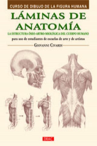 Kniha Láminas de anatomía: la estructura óseo-artro-miológica del cuerpo humano GIOVANI CIVARDI