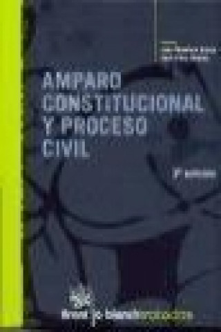 Könyv Amparo constitucional y proceso civil José Flors Matíes