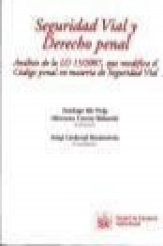 Buch Seguridad vial y derecho penal : análisis de la LO 15/2007, que modifica el código penal en materia de seguridad vial Sergi Cardenal Montraveta