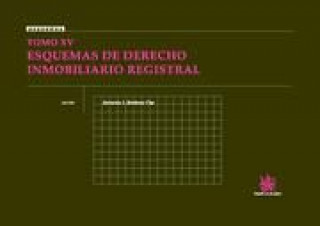 Carte Esquemas de derecho inmobiliario registral XV Antonio J. Jiménez Clar