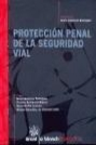 Könyv Protección penal de la seguridad vial María Gutiérrez Rodríguez