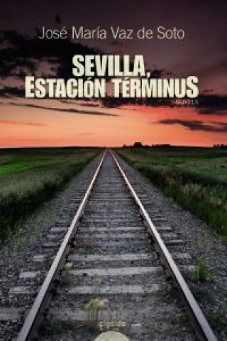 Книга Sevilla Estación Terminus JOSE MARIA VAZ DE SOTO