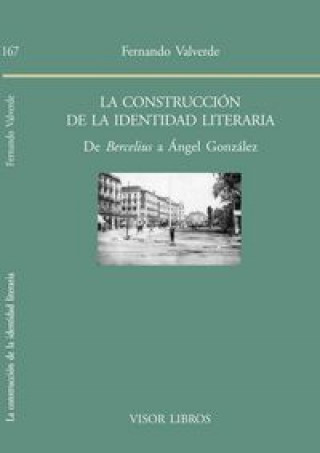 Könyv La construcción de la identidad literaria: De Bercelius a Ángel González 