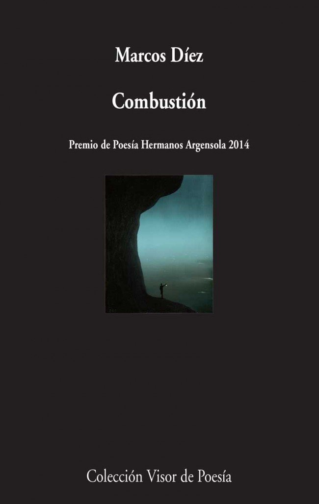 Book Combustión Díez