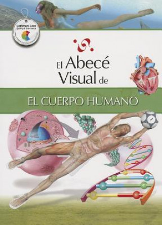 Kniha El Abece Visual del Cuerpo Humano = The Illustrated Basics of the Human Body Julia Pomies