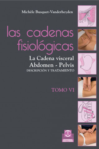 Kniha Las cadenas fisiológicas VI : la cadena visceral, abdomen-pelvis : descripción y tratamiento Michele Busquet-Vanderheyden