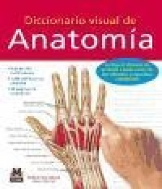 Kniha Diccionario visual de anatomía Ken Ashwell