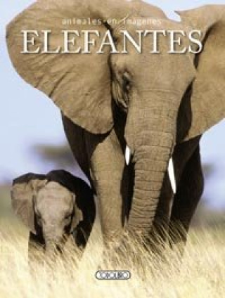 Kniha Elefantes 