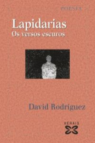 Kniha Lapidarias : os versos escuros David Rodríguez Rodríguez