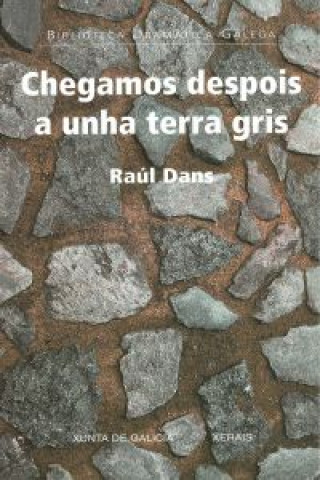 Kniha Chegamos despois a unha terra gris Raúl Dans Mayor