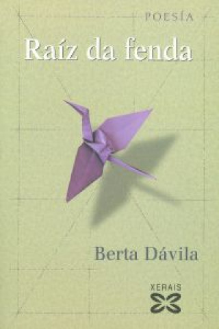 Книга Raíz da fenda Berta Dávila Fernández