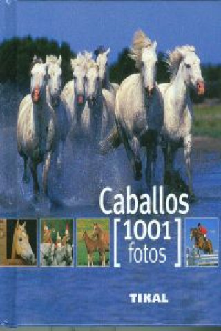 Kniha Caballos 
