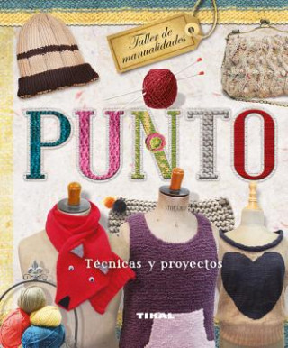 Könyv Punto. Técnicas y proyectos Susaeta Publishing Inc