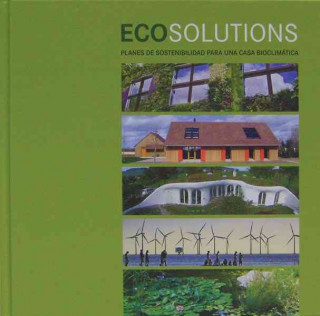 Kniha Eco solutions 