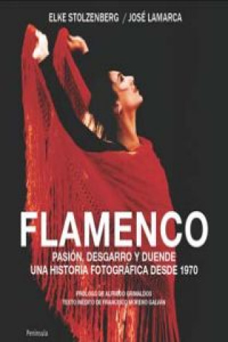 Carte Flamenco : pasión, desgarro y duende : una historia fotográfica desde 1970 José Eduardo Lamarca Ledesma