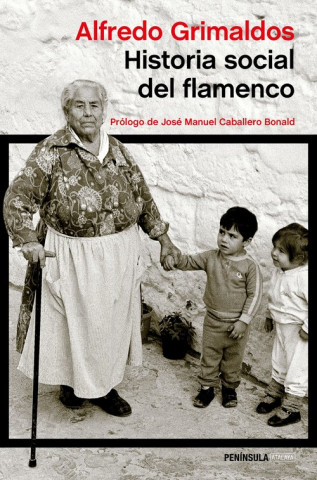 Kniha Historia social del flamenco ALFREDO GRIMALDOS