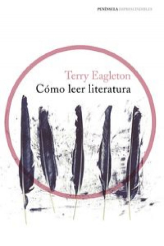 Kniha Cómo leer literatura TERRY EAGLETON