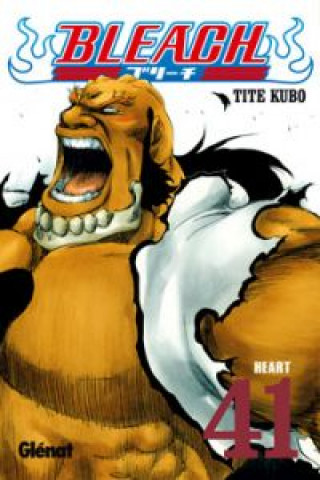 Boek BLEACH 41 (COMIC) KUBO
