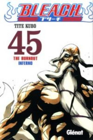 Buch Bleach 45 KUBO