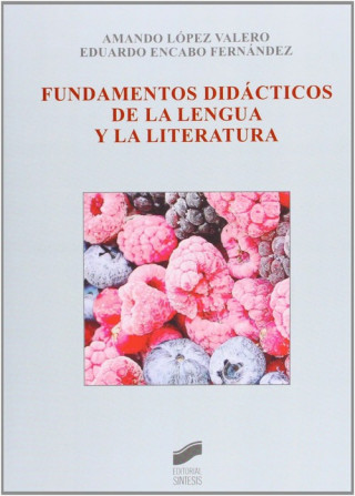 Kniha Fundamentos didácticos de la lengua y la literatura Eduardo Encabo Fernández